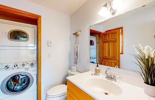 Sea Scallop - Foto 10