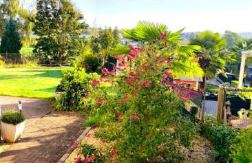 Neue Pfälzerwald Fewo mit Garten am Fluss - Foto 22