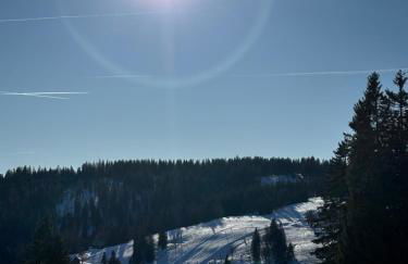 Haus Steiner - Ruhige, top bewertete Ferienwohnung in Lauterbach - Schwarzwald - Foto 50