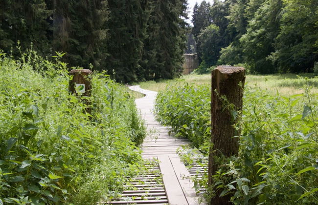 Holiday Home Mobilex Holidays - Foto 21