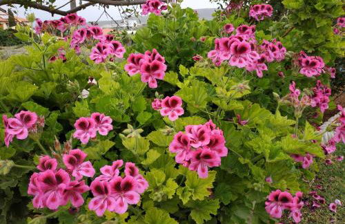 Great sea view apartment kokkini hani - Foto 59