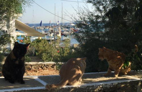 Anna's Studio - Photo 53