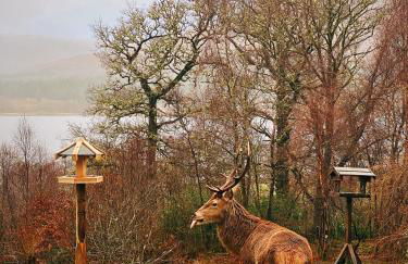 Tarmachan Cottage - West Highland Getaway - Photo 37