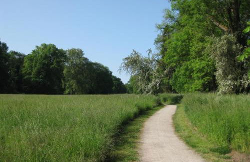 Altstadtapartment - Foto 34