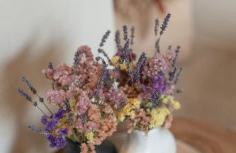 petra apartments apartment No3 - Foto 36