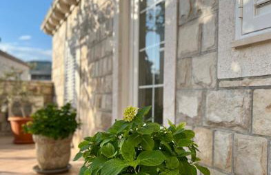 Apartments Zore Dubrovnik - Foto 20