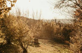 Holiday Home Medimurski Ceker - Foto 50