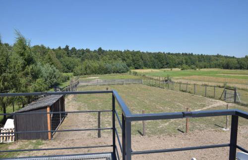 Noclegi Święta Katarzyna ,, Pod Jeleniami "prawdziwymi - Foto 24