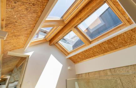 Downtown PortoEdition - Foto 14