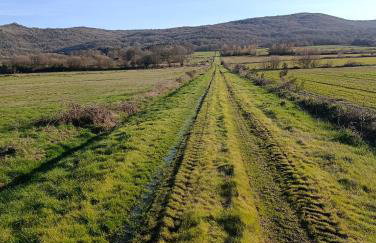 Trisquel 2 - Foto 23