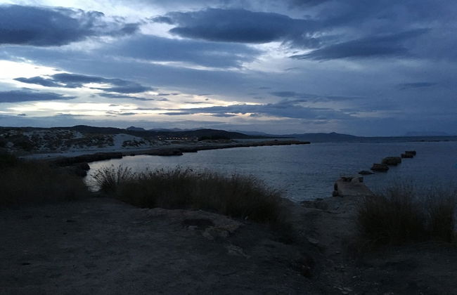 Cavalli di S'Arcaite - Foto 38