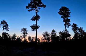 Alojamiento Rural Los Hacheros - Foto 64