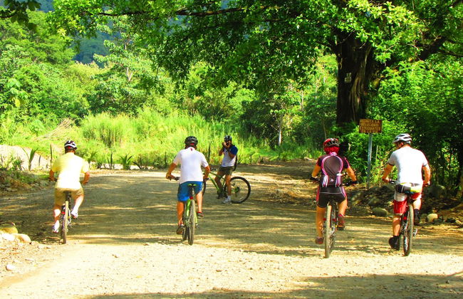 Portasol Living - Photo 78