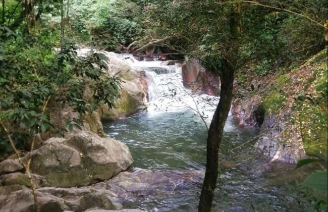 Escursione a Playa Grande, Pozo Azul de Minca e Taganga - Foto 2