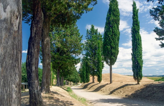 Francigena Cadolingi Home Private Pool - Foto 37