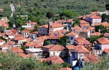 Malama's House - Photo 24