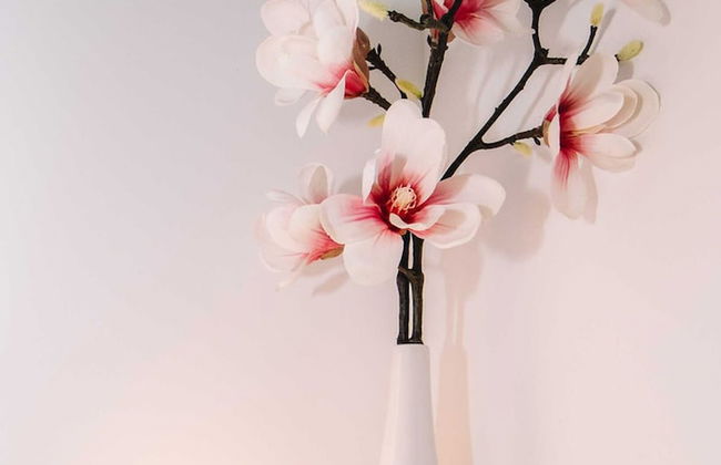 Wellness Paradise Apartment - Foto 8