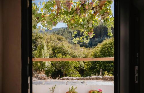 Serra Casa - Foto 25