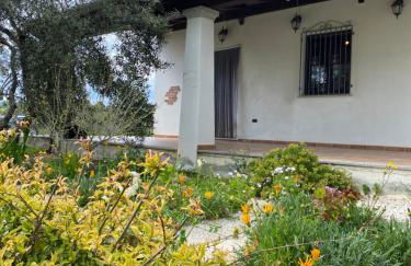 Casa Corofulu Oliena - IUN P2139 - Foto 11