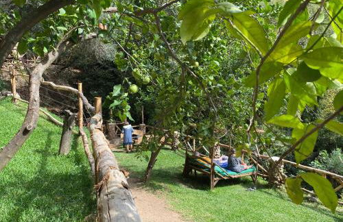 Filoxenia Olive Garden luxury villas and suites - Foto 47