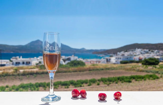 Ippocampos - Foto 54