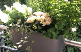 Strandstraße H3W6 Kölpinsee - Foto 28