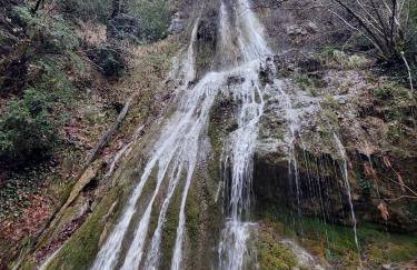 AlaiSuberri - Foto 3