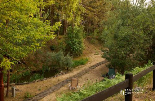 Siedlisko Janopole - Foto 52