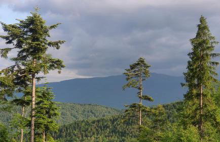 Zacisze na Wzgórzu - Foto 26