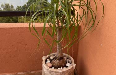 Frontview Sea Vista - Photo 48