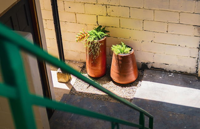 Colonial Wolf Oasis - Foto 67