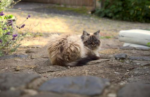 Die ART FARM I Apartment I nähe Frankfurt I Messe - Foto 33