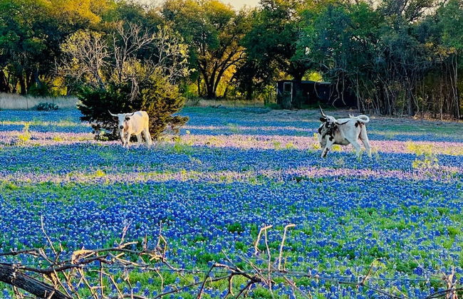 Winding River Panoramic Lookout - Foto 37