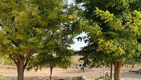 Casa Rural Abuela Dorotea - Foto 3