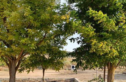 Casa Rural Abuela Dorotea - Foto 3