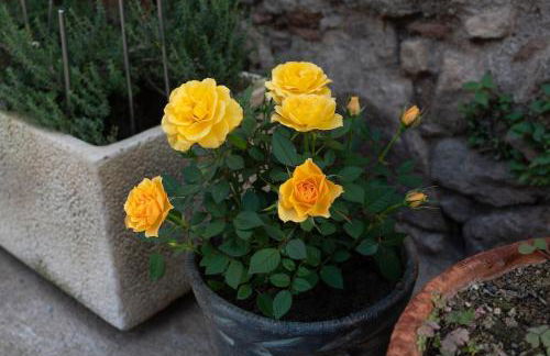 Masia Cal Fuster - Foto 30