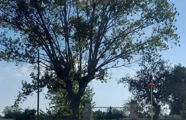 Masseria Ai Pioppi - Foto 6