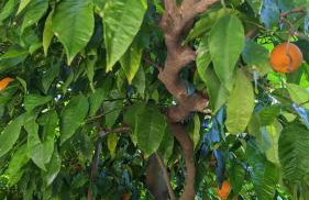 Apartment Luna i Lucky - Foto 17