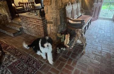 Homestead Upper Bucks - No Pet Fees - Foto 34