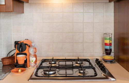 APPARTAMENTO CASA VACANZA AGRITURISMO BORGO di CALMASINO - Foto 48