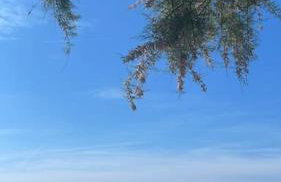 Split Centre Apartment No44 - Foto 22