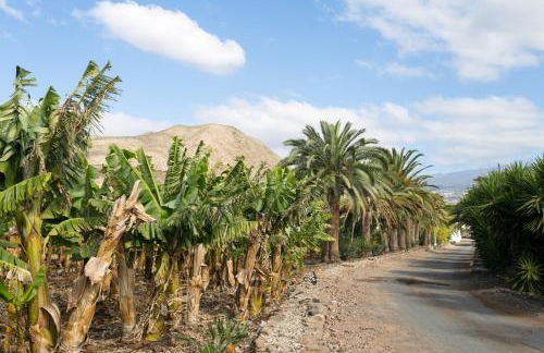 Casa María - Caserío de Guaza - Foto 28