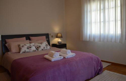 Meteora Family House - Foto 7