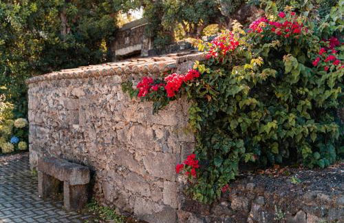 Quinta do Charco - Photo 63