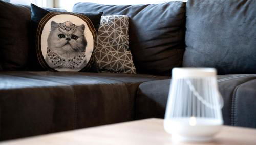 Schwarzwaldtraum - Foto 4