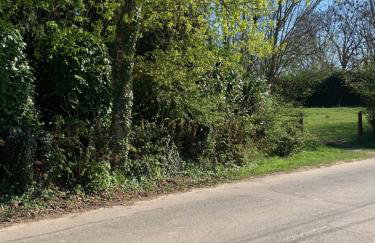 Sur côte en Dombes - Foto 15