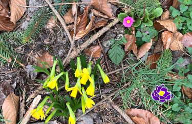 Ferienhaus Fuxbau - Foto 49