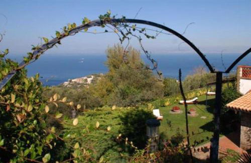 La Violetta - Photo 2