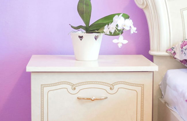 Apartment Hemingway - Photo 22