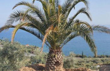 ALBA OCEAN VIEW LUXURY RESIDENCE - Foto 35